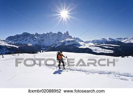 "Cross-country skier during the ascent to Cima Bocche Mountain above Passo Valles, with the Palla Group at the rear beside Rolle Pass, Dolomites, Trentino, Italy, Europe" View Large Photo Image Stock Image - "Cross-country skier during the ascent to Cima Bocche Mountain above Passo Valles, with the Palla Group at the rear beside Rolle Pass, Dolomites, Trentino, Italy, Europe". Fotosearch