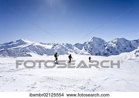 "Cross-country skiers during the descent from Hintere Schoentaufspitze Mountain, overlooking Zufallspitze, Cevedale, Koenigsspitze and Zebru Mountains, Solda, Alto Adige, Italy, Europe" View Large Photo Image Picture - "Cross-country skiers during the descent from Hintere Schoentaufspitze Mountain, overlooking Zufallspitze, Cevedale, Koenigsspitze and Zebru Mountains, Solda, Alto Adige, Italy, Europe". Fotosearch