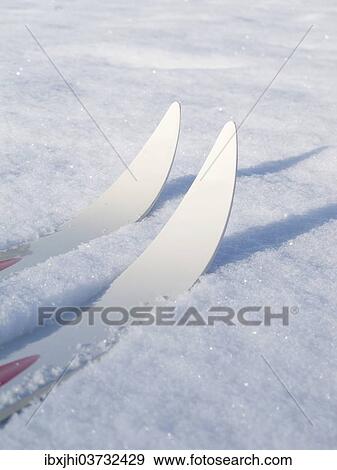 Stock Photo - Cross-country skis. Fotosearch