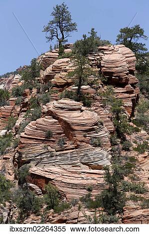 "Cross-stratification in sandstone of the Navajo Formation, Zion National Park, Utah, USA" View Large Photo Image Stock Photography - "Cross-stratification in sandstone of the Navajo Formation, Zion National Park, Utah, USA". Fotosearch
