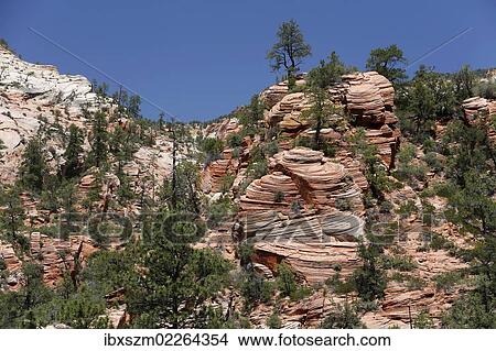 "Cross-stratification in sandstone, the Navajo Formation, Zion National Park, Utah, USA" View Large Photo Image Picture - "Cross-stratification in sandstone, the Navajo Formation, Zion National Park, Utah, USA". Fotosearch