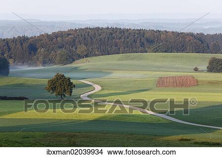"Cultivated landscape near Degerndorf, view from Mt Fuerst-Tegernberg, Muensing, five lakes region, Upper Bavaria, Bavaria, Germany, Europe, PublicGround, Europe" View Large Photo Image Picture - "Cultivated landscape near Degerndorf, view from Mt Fuerst-Tegernberg, Muensing, five lakes region, Upper Bavaria, Bavaria, Germany, Europe, PublicGround, Europe". Fotosearch