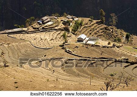 Stock Photograph - "Cultivated landscape with a small village, rice fields layed out as terraces at the edge of an abyss, Annapurna Conservation Area, Nepal, Asia". Fotosearch