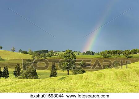 "Cultural landscape in the Swiss Plateau with a rainbow, Canton Zug, Switzerland, Europe" View Large Photo Image Picture - "Cultural landscape in the Swiss Plateau with a rainbow, Canton Zug, Switzerland, Europe". Fotosearch