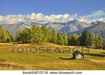 "Cultural landscape with larch trees in autumn, Zillertal Alps at the back, Egger Mahder, Obernberg am Brenner, Tyrol, Austria, Europe" View Large Photo Image Stock Photo - "Cultural landscape with larch trees in autumn, Zillertal Alps at the back, Egger Mahder, Obernberg am Brenner, Tyrol, Austria, Europe". Fotosearch