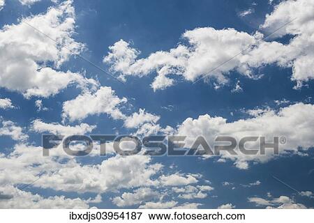 Cumulus clouds and blue sky View Large Photo Image Stock Photo - Cumulus clouds and blue sky. Fotosearch