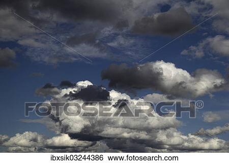 "Cumulus clouds, Upper Swabia, Baden-Wurttemberg, Germany, Europe" View Large Photo Image Stock Photograph - "Cumulus clouds, Upper Swabia, Baden-Wurttemberg, Germany, Europe". Fotosearch