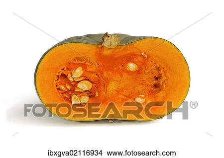"Cut open squash of the Blue Hungarian, Bleu d'Hongrie variety" View Large Photo Image Picture - "Cut open squash of the Blue Hungarian, Bleu d'Hongrie variety". Fotosearch
