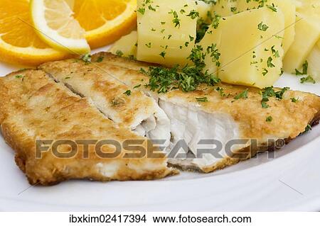"Cut pollack fillet, structure of the fish, with asparagus and potatoes" View Large Photo Image Picture - "Cut pollack fillet, structure of the fish, with asparagus and potatoes". Fotosearch