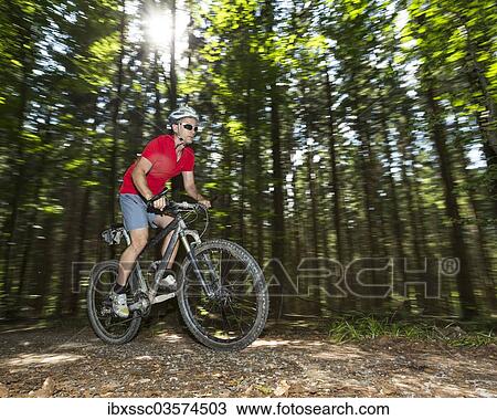 "Cyclist on a mountainbike riding through a forest, Schurwald forest, Winterbach, Baden-Wurttemberg, Germany, Europe" View Large Photo Image Stock Image - "Cyclist on a mountainbike riding through a forest, Schurwald forest, Winterbach, Baden-Wurttemberg, Germany, Europe". Fotosearch