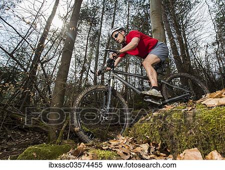"Cyclist on a mountainbike riding through a forest, Schurwald forest, Winterbach, Baden-Wurttemberg, Germany, Europe" View Large Photo Image Stock Photography - "Cyclist on a mountainbike riding through a forest, Schurwald forest, Winterbach, Baden-Wurttemberg, Germany, Europe". Fotosearch