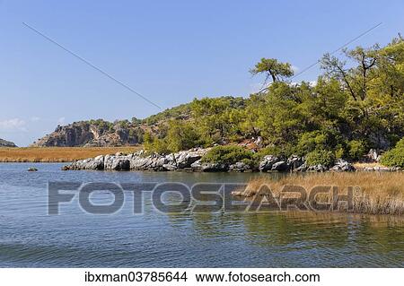 "Dalyan Delta, Dalyan, Mugla Province, Turkish Riviera or Turquoise Coast, Aegean, Turkey, Asia" View Large Photo Image Picture - "Dalyan Delta, Dalyan, Mugla Province, Turkish Riviera or Turquoise Coast, Aegean, Turkey, Asia". Fotosearch