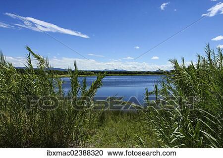 "Dam in Namibia, Africa" View Large Photo Image Stock Image - "Dam in Namibia, Africa". Fotosearch