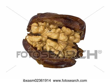 Date stuffed with half a walnut View Large Photo Image Picture - Date stuffed with half a walnut. Fotosearch