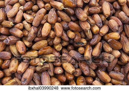 Dates View Large Photo Image Stock Photo - Dates. Fotosearch