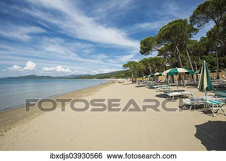 "Deck chairs on the beach, Punta Ala, near Castiglione della Pescaia, Province of Grosseto, Tuscany, Italy, Europe" View Large Photo Image Stock Photograph - "Deck chairs on the beach, Punta Ala, near Castiglione della Pescaia, Province of Grosseto, Tuscany, Italy, Europe". Fotosearch