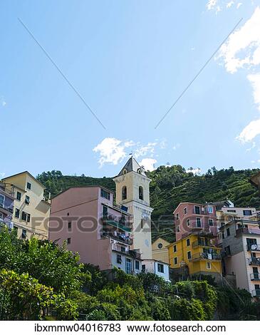 "Defensive tower of Manarola, Cinque Terre, La Spezia, Cinque Terre, Liguria, Italy, Europe" View Large Photo Image Stock Image - "Defensive tower of Manarola, Cinque Terre, La Spezia, Cinque Terre, Liguria, Italy, Europe". Fotosearch