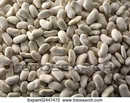 Dermason beans View Large Photo Image Stock Image - Dermason beans. Fotosearch