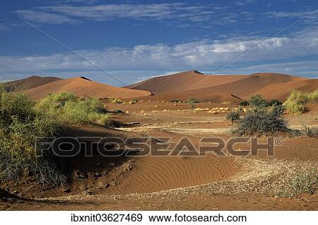 "Desert landscape, Namib, Hardap Region, Namibia, Africa" View Large Photo Image Stock Photo - "Desert landscape, Namib, Hardap Region, Namibia, Africa". Fotosearch