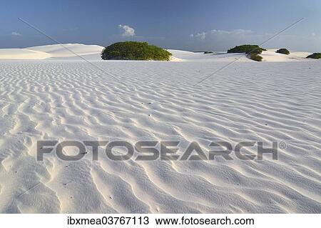 "Desert landscape, Parque Nacional dos Lencois Maranhenses or Lencois Maranhenses National Park, Maranhao, Brazil, South America" View Large Photo Image Stock Image - "Desert landscape, Parque Nacional dos Lencois Maranhenses or Lencois Maranhenses National Park, Maranhao, Brazil, South America". Fotosearch