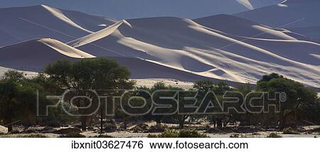 "Desert landscape with trees, Namib, Hardap Region, Namibia, Africa" View Large Photo Image Stock Photograph - "Desert landscape with trees, Namib, Hardap Region, Namibia, Africa". Fotosearch