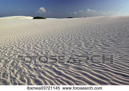 "Desert, Lencois Maranhenses, Lencois Maranhenses, Barreirinhas, Maranhao, Brazil, South America" View Large Photo Image Stock Photography - "Desert, Lencois Maranhenses, Lencois Maranhenses, Barreirinhas, Maranhao, Brazil, South America". Fotosearch