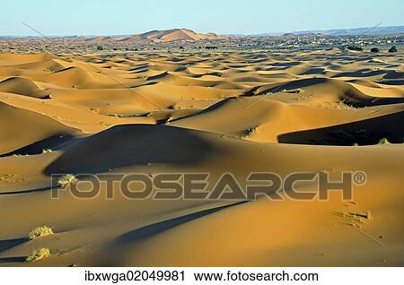 "Desert, sand dune of Erg Chebbi, Morocco, Africa" View Large Photo Image Stock Image - "Desert, sand dune of Erg Chebbi, Morocco, Africa". Fotosearch