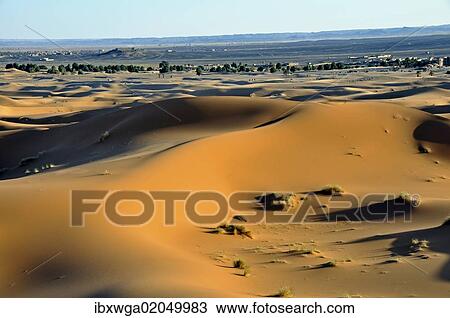 "Desert, sand dune of Erg Chebbi, Morocco, Africa" View Large Photo Image Stock Image - "Desert, sand dune of Erg Chebbi, Morocco, Africa". Fotosearch