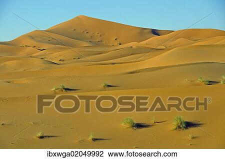 "Desert, sand dune of Erg Chebbi, Morocco, Africa" View Large Photo Image Stock Image - "Desert, sand dune of Erg Chebbi, Morocco, Africa". Fotosearch