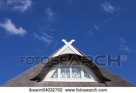 Stock Image - "Detail view of a thatched roof with dormer and Lower Saxony horses of a new building against a blue sky, Ahrenshoop, Darss, Mecklenburg-Western Pomerania, Germany, Europe". Fotosearch