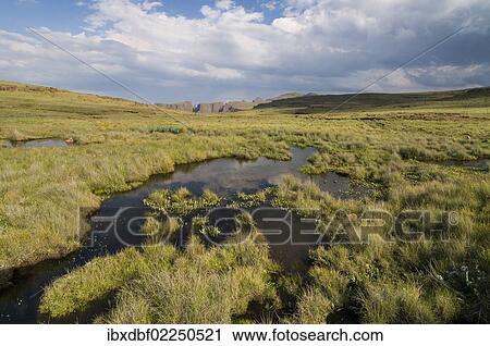 "Devil's Tooth, Plateau, Sentinel Hiking Trail, Drakensberg Mountains, KwaZulu-Natal, South Africa, Africa" View Large Photo Image Stock Image - "Devil's Tooth, Plateau, Sentinel Hiking Trail, Drakensberg Mountains, KwaZulu-Natal, South Africa, Africa". Fotosearch