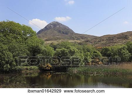 "Diamond Hill, Connemara National Park, County Galway, Republic of Ireland, Europe" View Large Photo Image Stock Photo - "Diamond Hill, Connemara National Park, County Galway, Republic of Ireland, Europe". Fotosearch