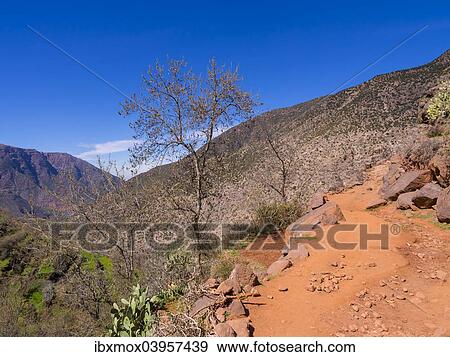 "Dirt path in the Ourika Valley, Atlas Mountains, Marrakech-Tensift-Al Haouz, Morocco, Africa" View Large Photo Image Stock Photo - "Dirt path in the Ourika Valley, Atlas Mountains, Marrakech-Tensift-Al Haouz, Morocco, Africa". Fotosearch