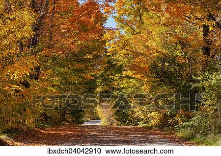 "Dirt road in autumn, Austin, Eastern Townships, Quebec, Canada, North America" View Large Photo Image Stock Image - "Dirt road in autumn, Austin, Eastern Townships, Quebec, Canada, North America". Fotosearch