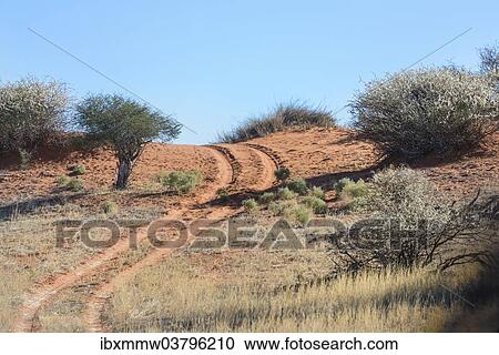 "Dirt road, Kalahari, Namibia, Africa" View Large Photo Image Stock Image - "Dirt road, Kalahari, Namibia, Africa". Fotosearch