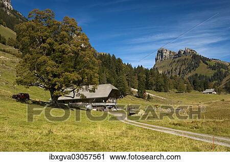 "Dirt road leading to a mountain farm, in front of Schibe Mountain, bei Pufel, Justistal, Berner Oberland, Bernese Oberland, Canton of Bern, Switzerland, Europe" View Large Photo Image Stock Image - "Dirt road leading to a mountain farm, in front of Schibe Mountain, bei Pufel, Justistal, Berner Oberland, Bernese Oberland, Canton of Bern, Switzerland, Europe". Fotosearch
