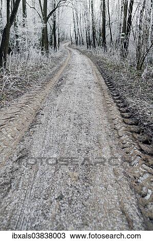 "Dirt road with hoar frost, Waschberg, Leitzersdorf, Weinviertel or Wine Quarter, Lower Austria, Austria, Europe" View Large Photo Image Stock Image - "Dirt road with hoar frost, Waschberg, Leitzersdorf, Weinviertel or Wine Quarter, Lower Austria, Austria, Europe". Fotosearch