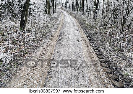"Dirt road with hoar frost, Waschberg, Leitzersdorf, Weinviertel or Wine Quarter, Lower Austria, Austria, Europe" View Large Photo Image Stock Photo - "Dirt road with hoar frost, Waschberg, Leitzersdorf, Weinviertel or Wine Quarter, Lower Austria, Austria, Europe". Fotosearch
