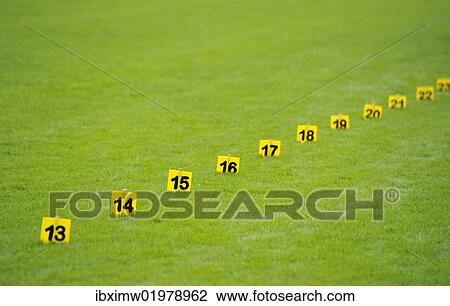 "Distance markers for throwing, shot put on grass, stadium" View Large Photo Image Stock Image - "Distance markers for throwing, shot put on grass, stadium". Fotosearch
