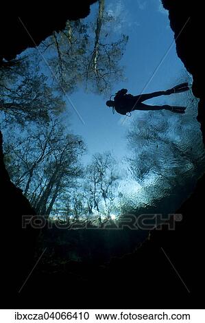 "Diver at Devil's Eye, the entrance to a huge cave system, Santa Fe River, Florida, United States, North America" View Large Photo Image Stock Image - "Diver at Devil's Eye, the entrance to a huge cave system, Santa Fe River, Florida, United States, North America". Fotosearch