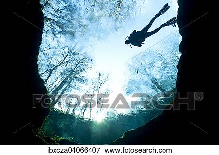 "Diver at Devil's Eye, the entrance to a huge cave system, Santa Fe River, Florida, United States, North America" View Large Photo Image Stock Photo - "Diver at Devil's Eye, the entrance to a huge cave system, Santa Fe River, Florida, United States, North America". Fotosearch