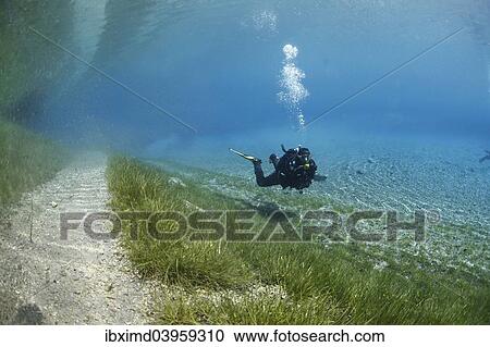 "Diver next to the flooded trail, Gruner See Lake, Tragoss, Carinthia, Austria, Europe" View Large Photo Image Stock Image - "Diver next to the flooded trail, Gruner See Lake, Tragoss, Carinthia, Austria, Europe". Fotosearch