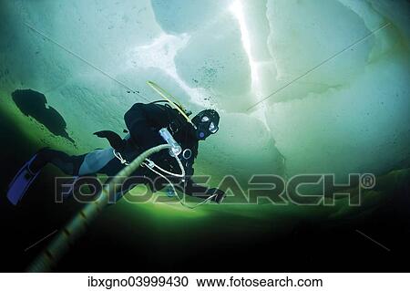 "Diver under ice, White Sea, Russia, Europe" View Large Photo Image Stock Image - "Diver under ice, White Sea, Russia, Europe". Fotosearch