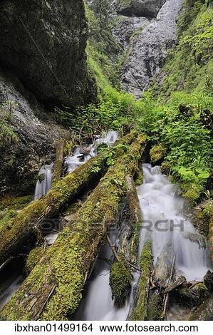 "Dolne Diery ravine, Mala Fatra National Park, Slovakia, Europe" View Large Photo Image Picture - "Dolne Diery ravine, Mala Fatra National Park, Slovakia, Europe". Fotosearch