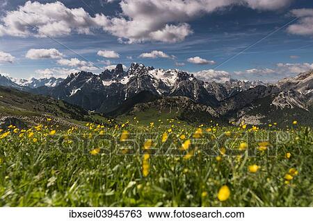 "Dolomites with mountain meadow, Sexten, South Tyrol, Italy, Europe" View Large Photo Image Stock Image - "Dolomites with mountain meadow, Sexten, South Tyrol, Italy, Europe". Fotosearch