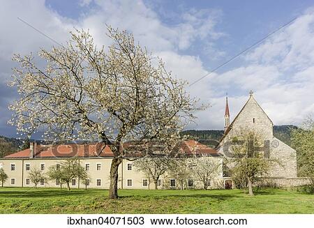 "Dominican Church and Dominican Convent, Friesach, Carinthia, Austria, Europe" View Large Photo Image Stock Image - "Dominican Church and Dominican Convent, Friesach, Carinthia, Austria, Europe". Fotosearch