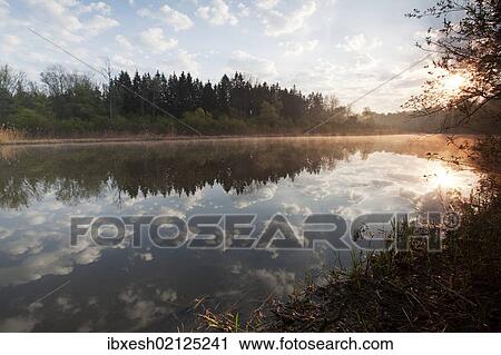 Stock Image - "Donaualtwasser, Antoniberg, Stepperg, Bavaria, Germany, Europe". Fotosearch