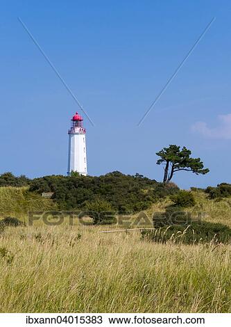"Dornbusch Lighthouse, Hiddensee Island, Mecklenburg-Western Pomerania, Germany, Europe" View Large Photo Image Stock Image - "Dornbusch Lighthouse, Hiddensee Island, Mecklenburg-Western Pomerania, Germany, Europe". Fotosearch