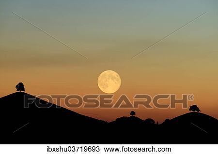 "Double exposure, full moon before sunset with trees on moraine hill, Hirzel, Canton of Zurich, Switzerland, Europe" View Large Photo Image Stock Image - "Double exposure, full moon before sunset with trees on moraine hill, Hirzel, Canton of Zurich, Switzerland, Europe". Fotosearch