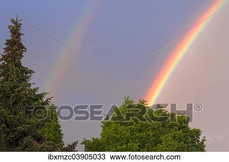 "Double rainbow, partial view, with trees, Bavaria, Germany, Europe" View Large Photo Image Stock Image - "Double rainbow, partial view, with trees, Bavaria, Germany, Europe". Fotosearch